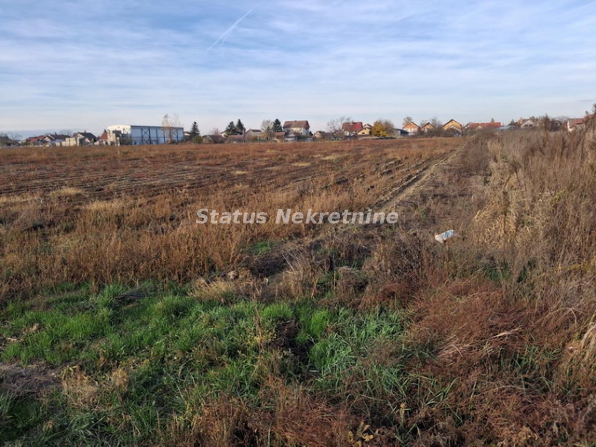 Plac Prodaja Novi Sad  0 m2
