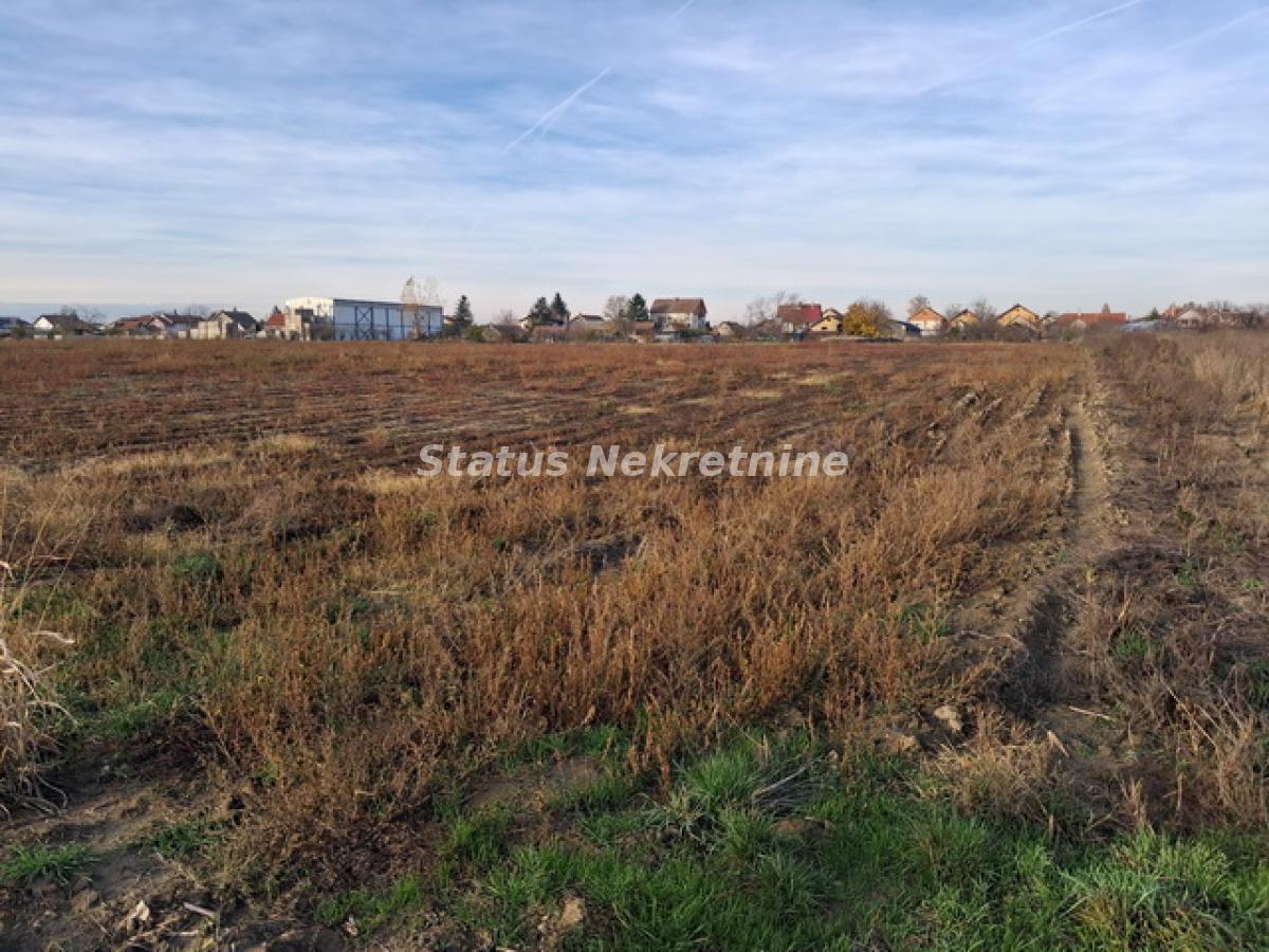 Plac Prodaja Novi Sad  0 m2