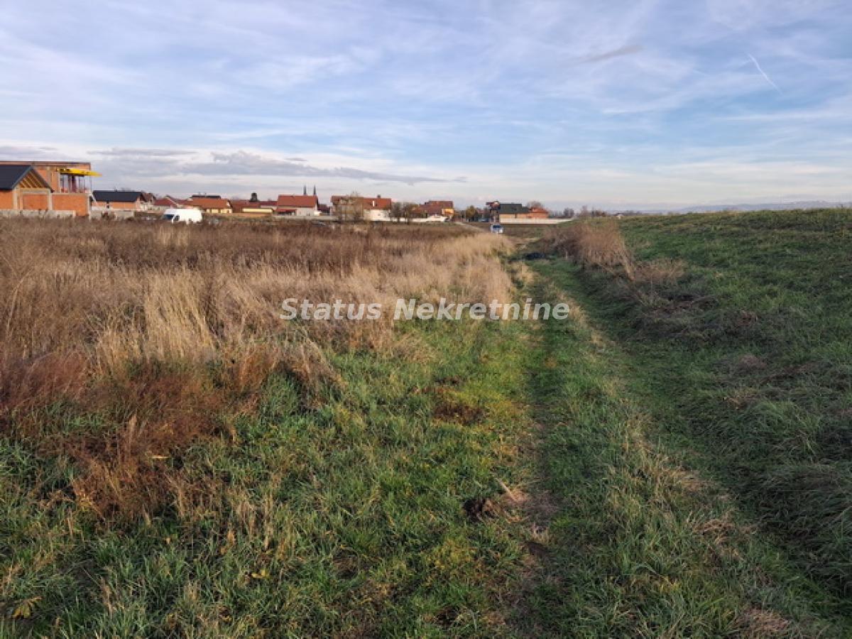 Plac Prodaja Novi Sad  0 m2
