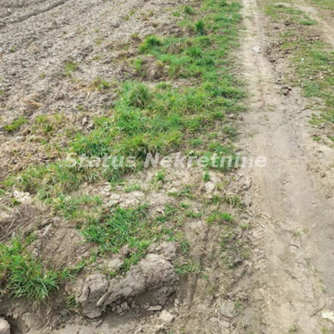 Plac Prodaja Novi Sad  0 m2