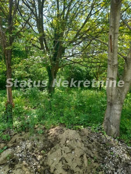 Plac Prodaja Irig Plac Prodaja Irig 0 m2