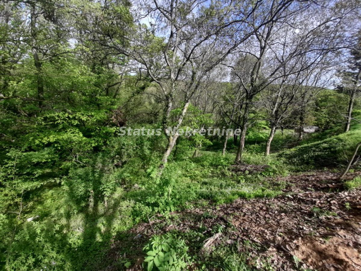 Plac Prodaja Irig Plac Prodaja Irig 0 m2