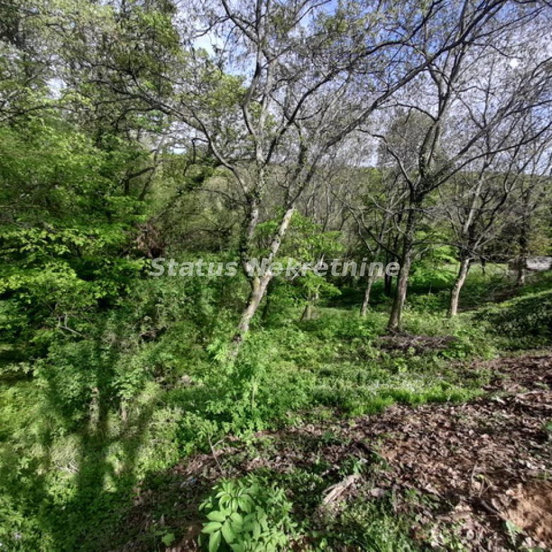 Plac Prodaja Irig  0 m2