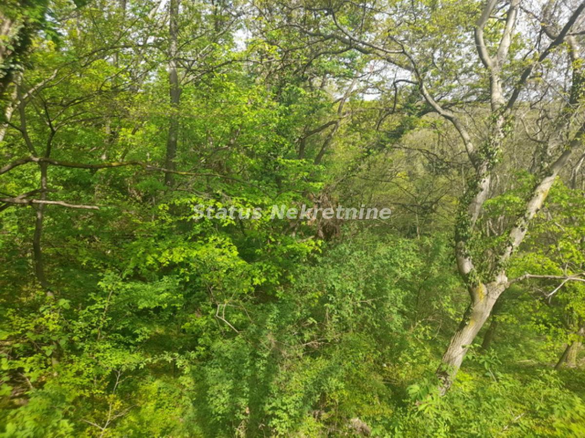 Plac Prodaja Irig Plac Prodaja Irig 0 m2