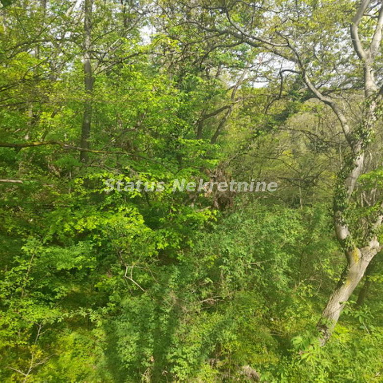 Plac Prodaja Irig  0 m2