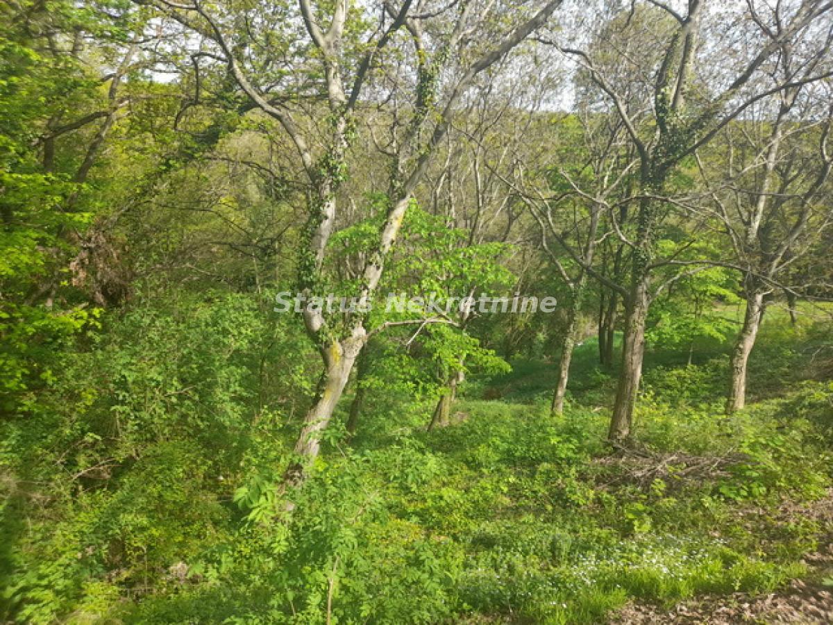 Plac Prodaja Irig Plac Prodaja Irig 0 m2