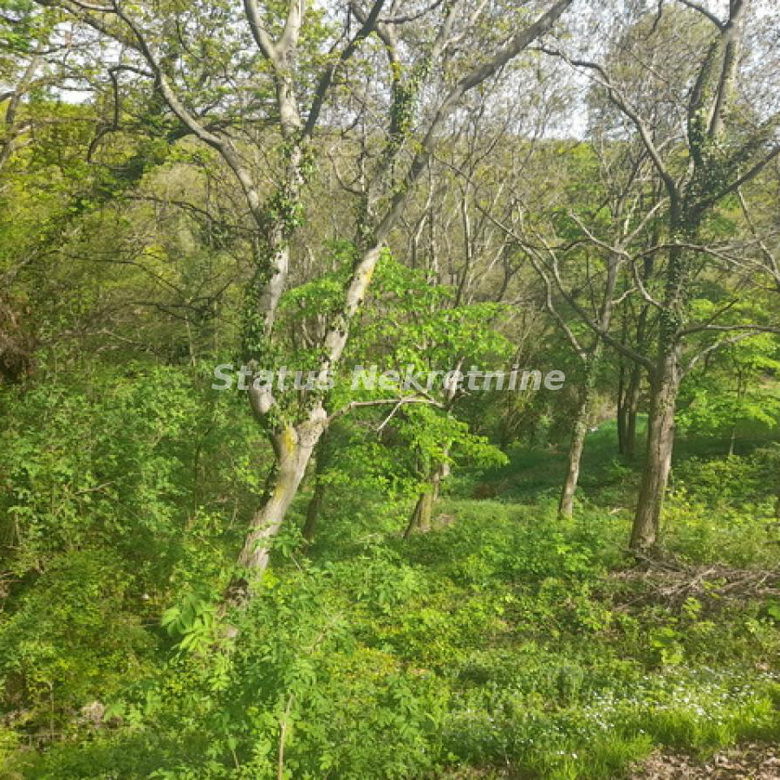 Plac Prodaja Irig  0 m2