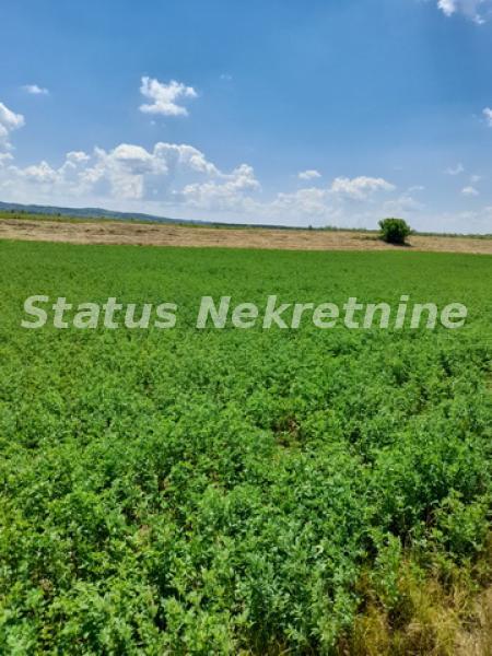 Plac Prodaja Novi Sad Plac Prodaja Novi Sad 0 m2