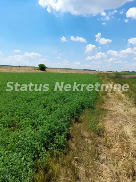 Plac Prodaja Novi Sad Plac Prodaja Novi Sad 0 m2