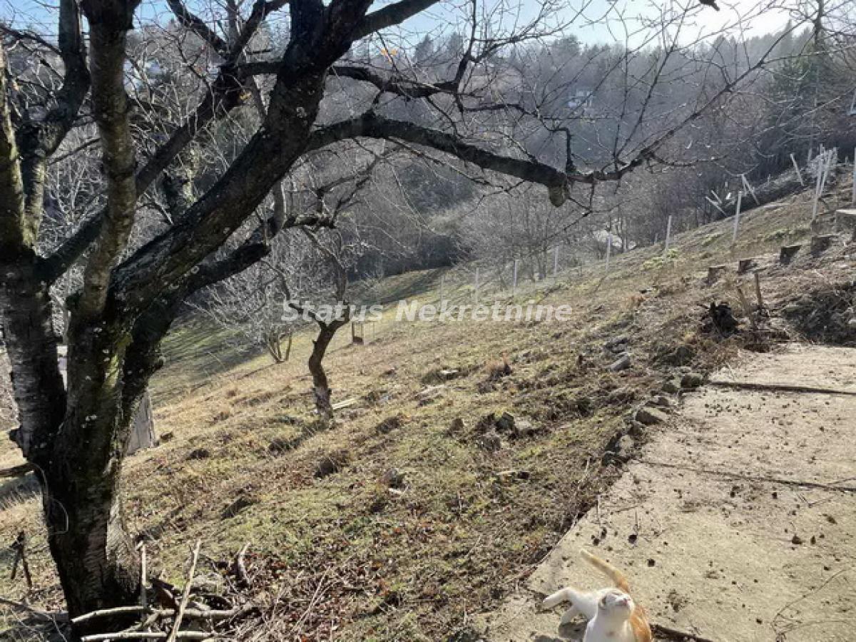 Plac Prodaja Novi Sad Plac Prodaja Novi Sad 0 m2