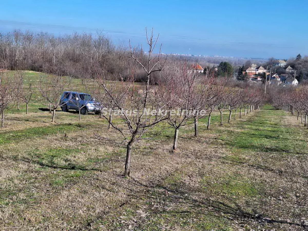 Plac Prodaja Beočin  0 m2