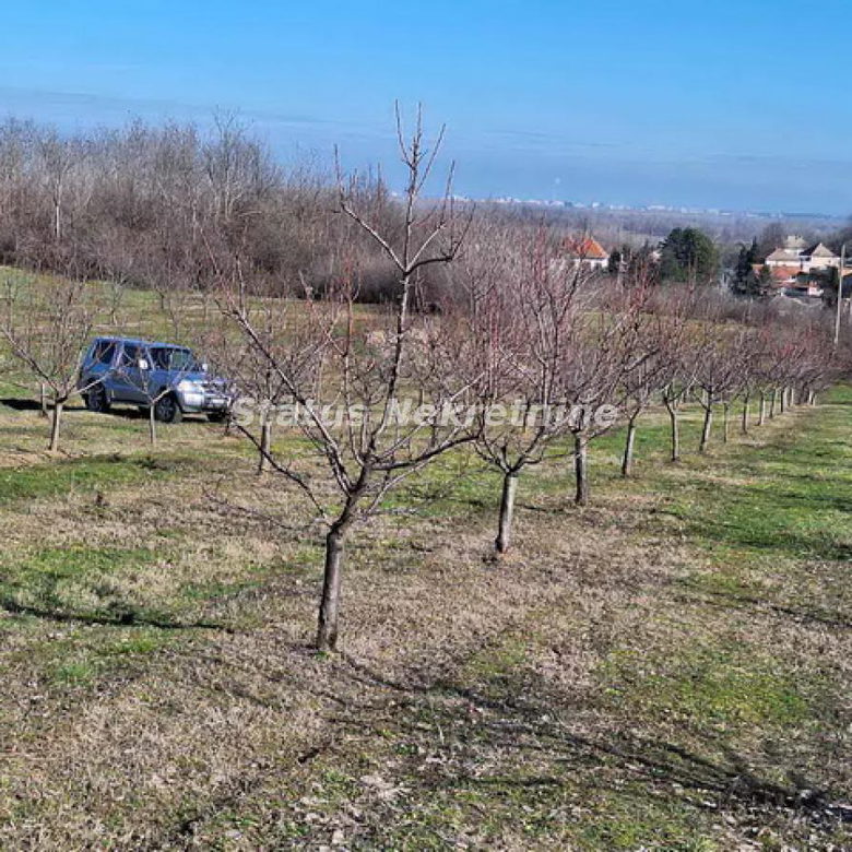 Plac Prodaja Beočin  0 m2