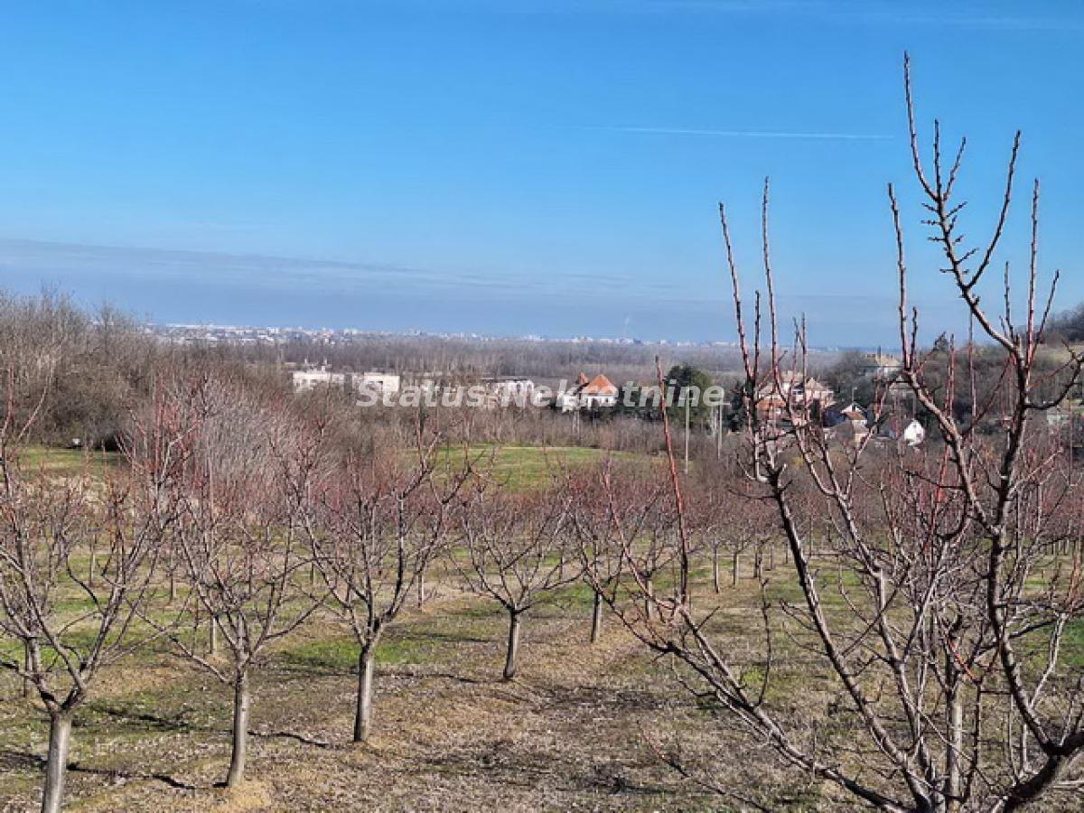 Plac Prodaja Beočin  0 m2
