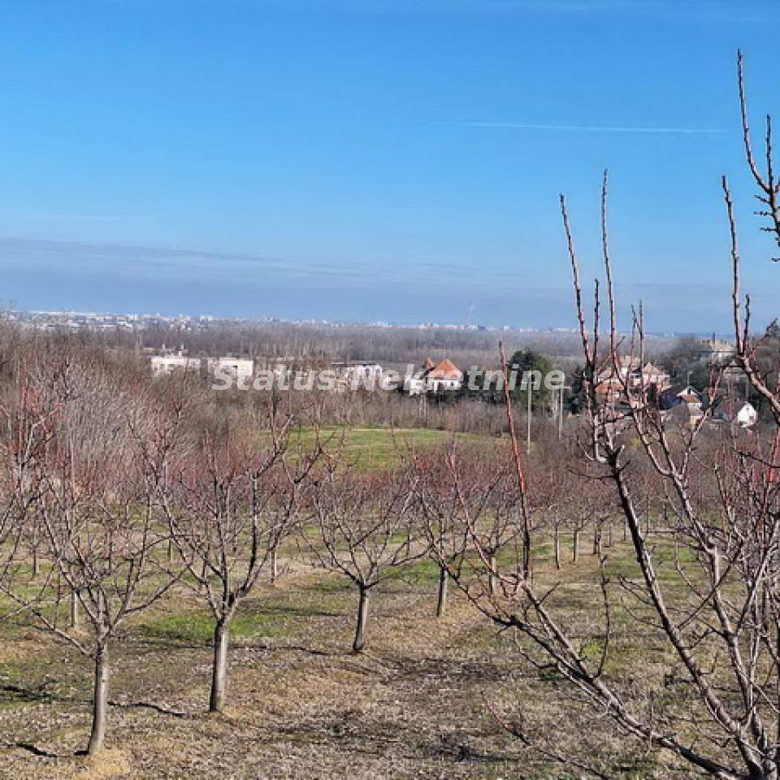 Plac Prodaja Beočin  0 m2