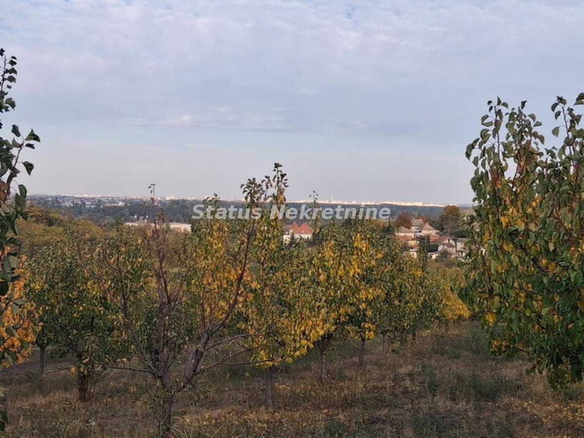 Plac Prodaja Beočin  0 m2