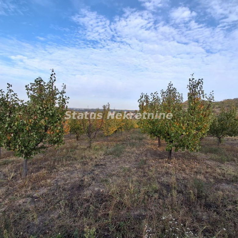 Plac Prodaja Beočin  0 m2