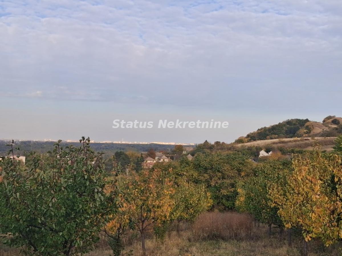 Plac Prodaja Beočin  0 m2