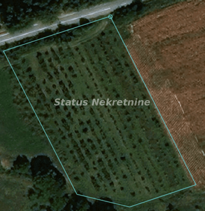 Plac Prodaja Sremski Karlovci Plac Prodaja Sremski Karlovci 0 m2