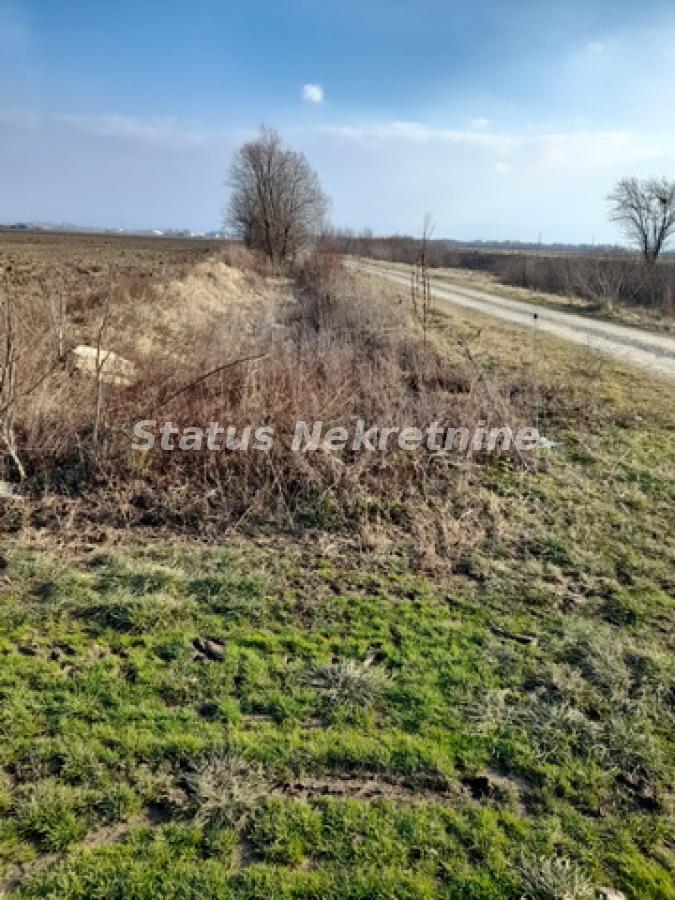 Plac Prodaja Novi Sad  0 m2