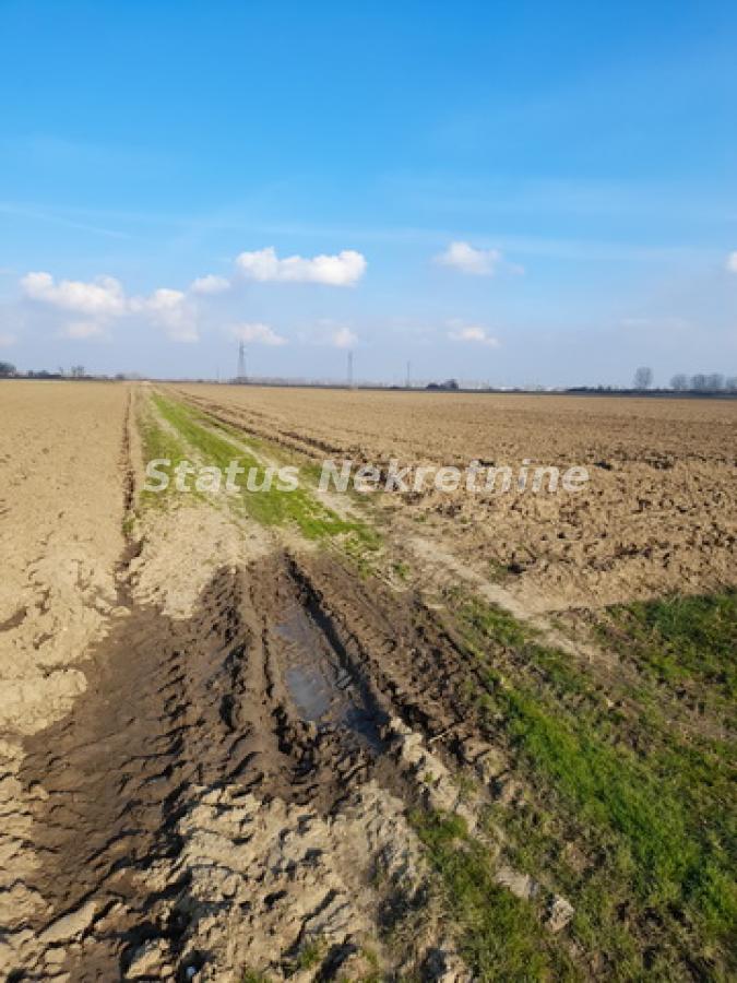 Plac Prodaja Novi Sad  0 m2