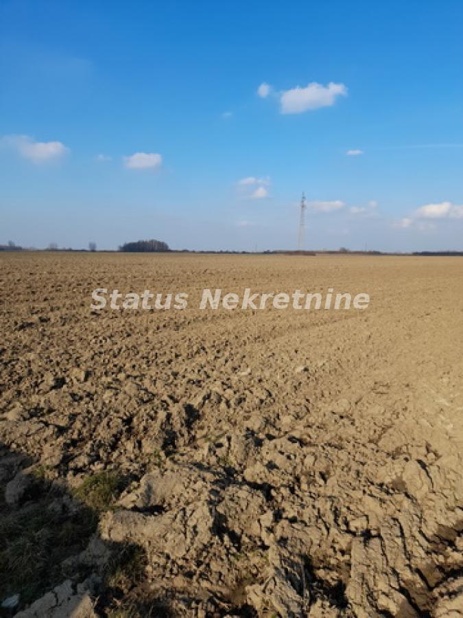 Plac Prodaja Novi Sad  0 m2