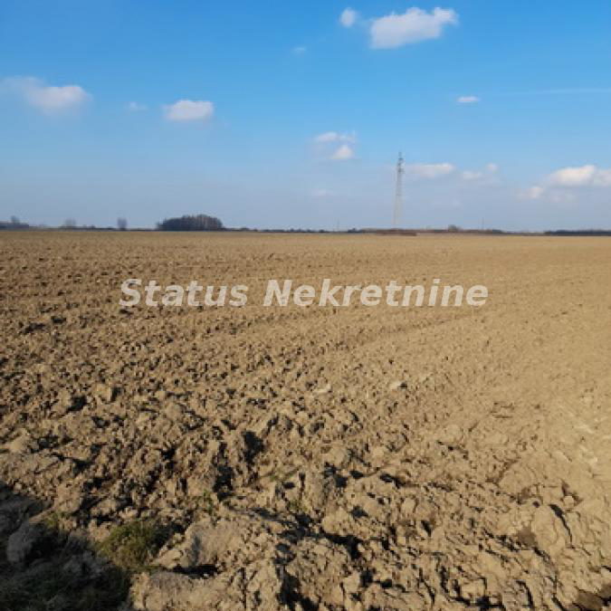 Plac Prodaja Novi Sad  0 m2