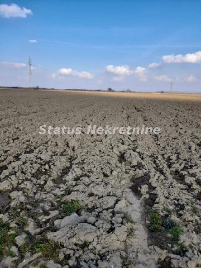 Plac Prodaja Novi Sad  0 m2