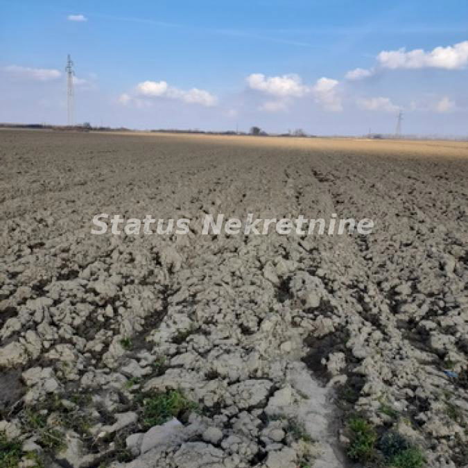 Plac Prodaja Novi Sad  0 m2