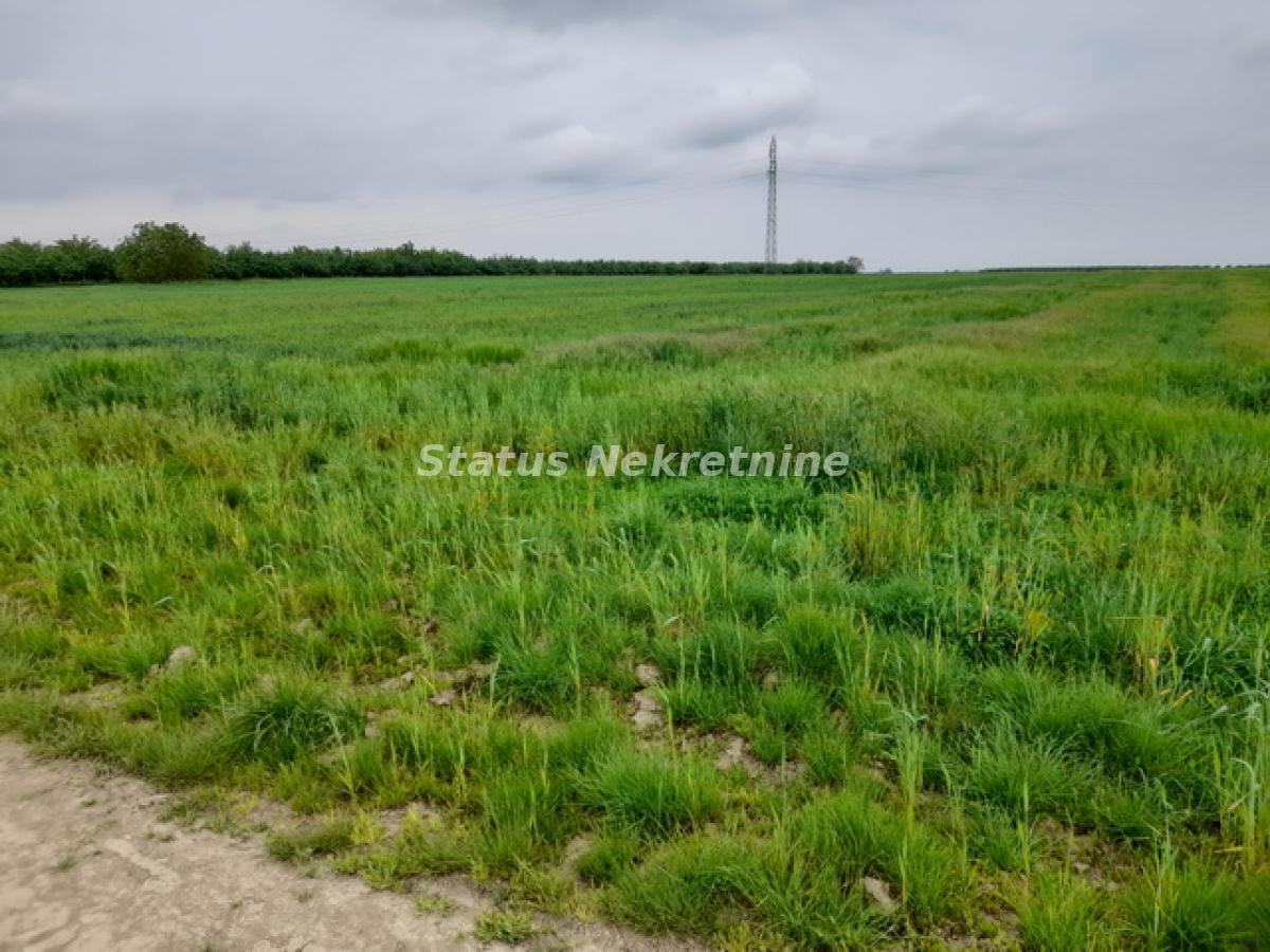 Plac Prodaja Novi Sad  0 m2