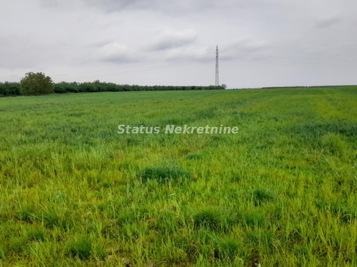 Plac Prodaja Novi Sad  0 m2