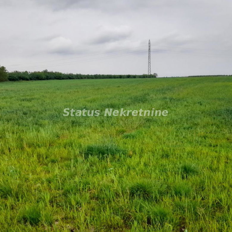 Plac Prodaja Novi Sad  0 m2