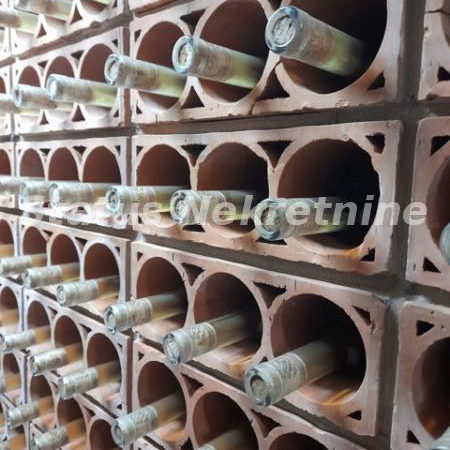 Lokal Prodaja Sremski Karlovci  500 m2