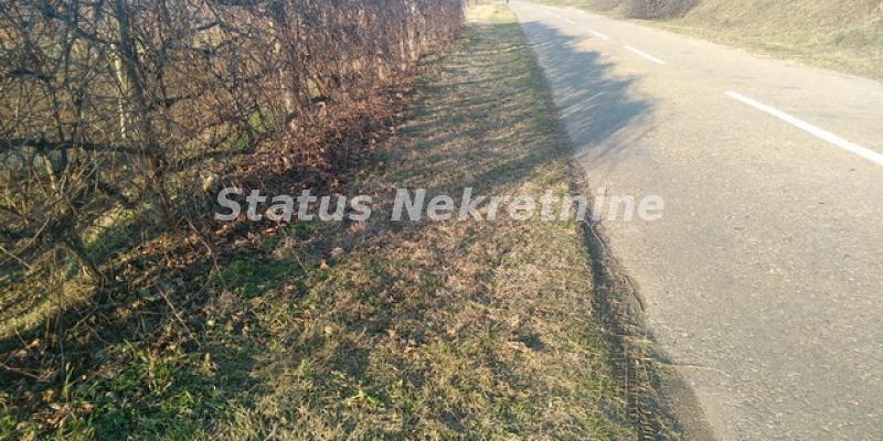 Plac Prodaja Sremski Karlovci Plac Prodaja Sremski Karlovci 0 m2