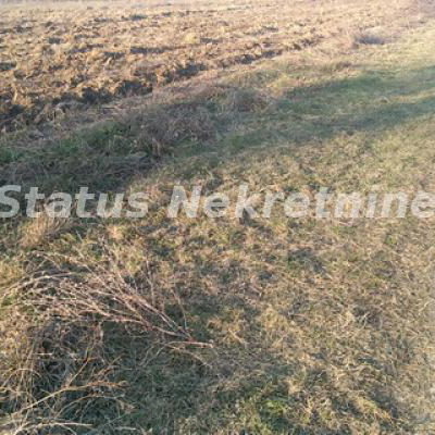 Plac Prodaja Sremski Karlovci  0 m2
