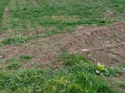 Plac Prodaja Beograd Ugrinovačka 0 m2