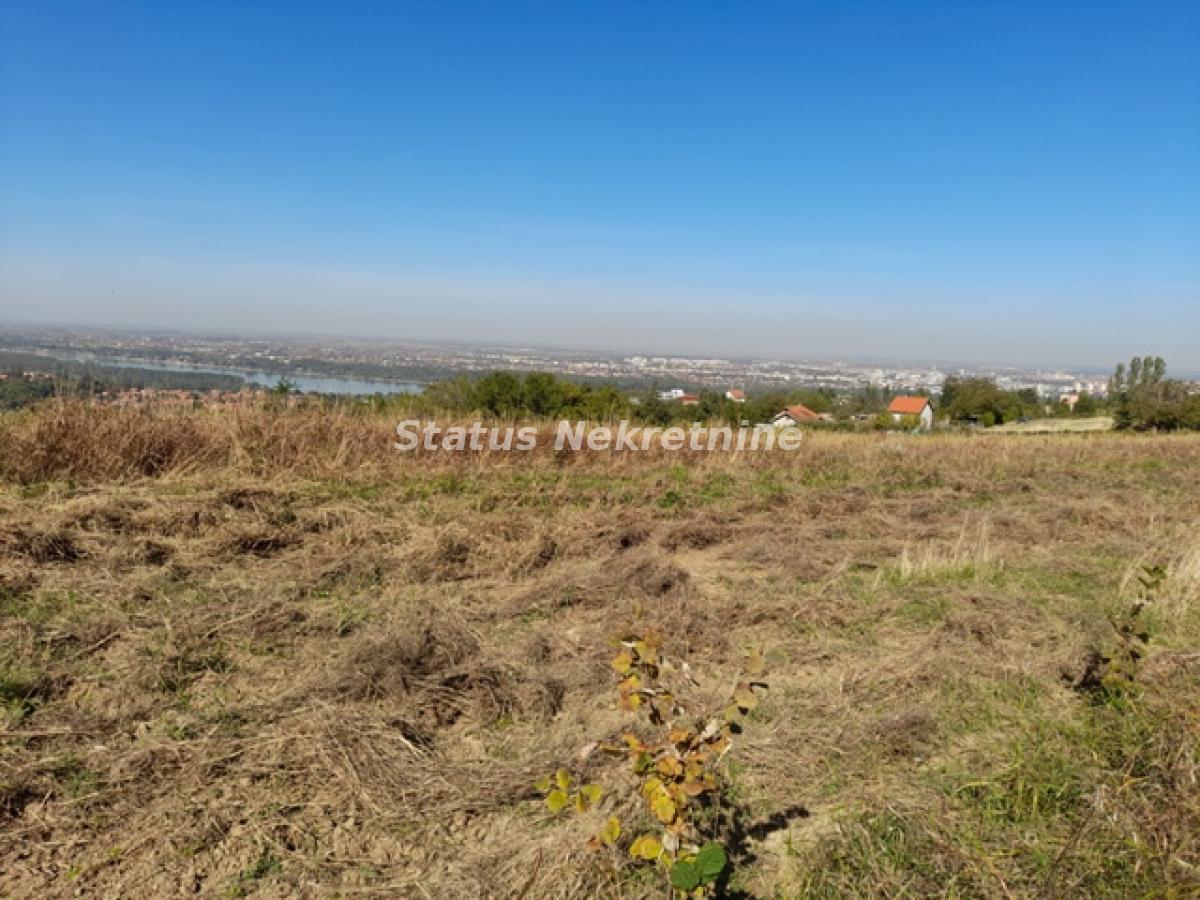 Plac Prodaja Novi Sad Plac Prodaja Novi Sad 0 m2
