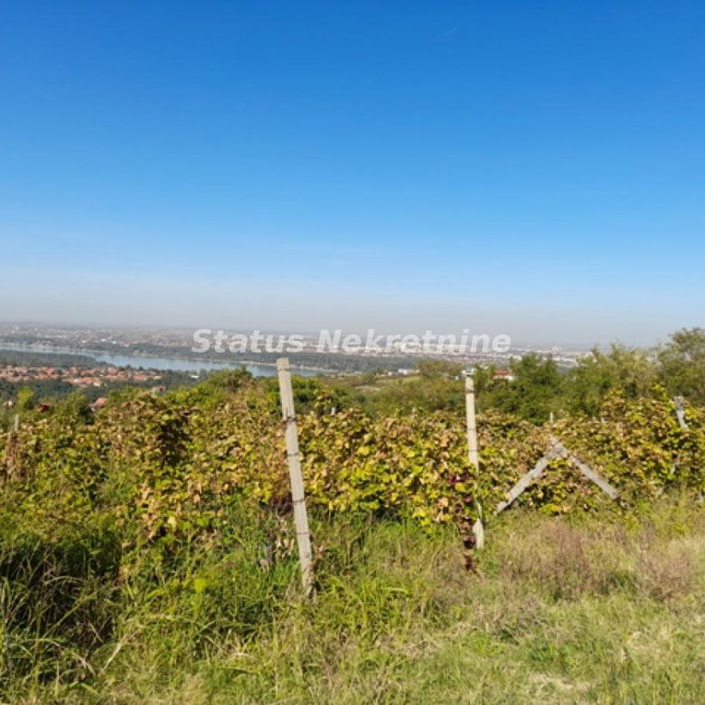 Plac Prodaja Novi Sad  0 m2