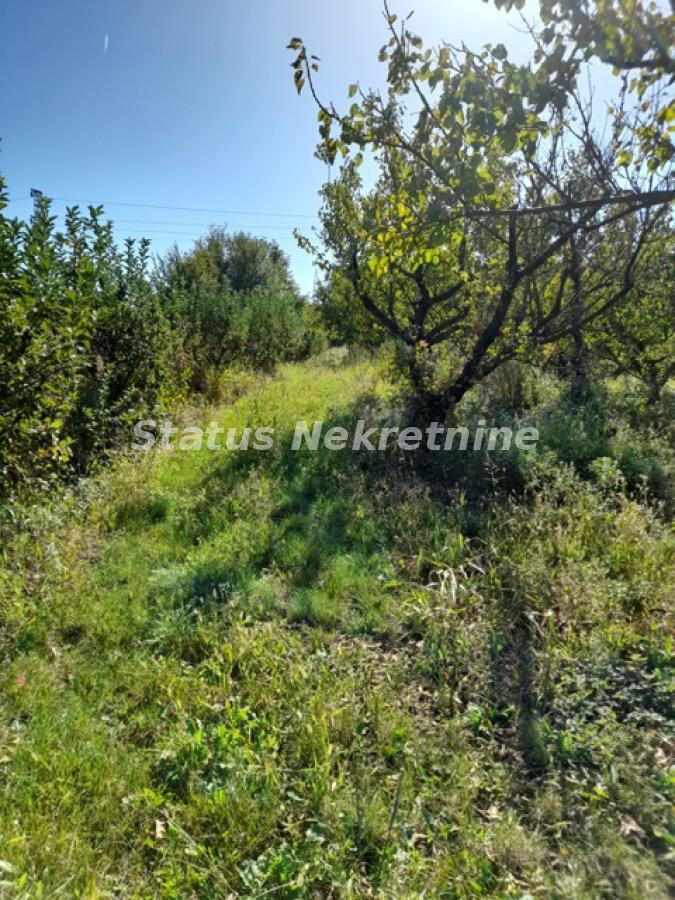 Plac Prodaja Novi Sad Plac Prodaja Novi Sad 0 m2