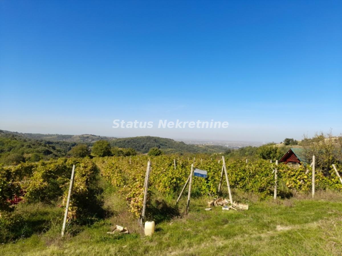 Plac Prodaja Novi Sad Plac Prodaja Novi Sad 0 m2