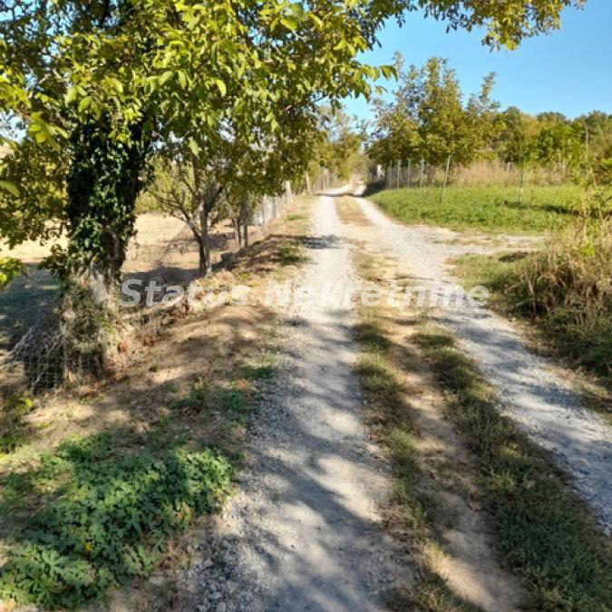 Plac Prodaja Novi Sad  0 m2