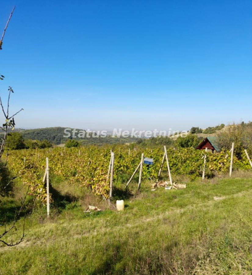 Plac Prodaja Novi Sad Plac Prodaja Novi Sad 0 m2