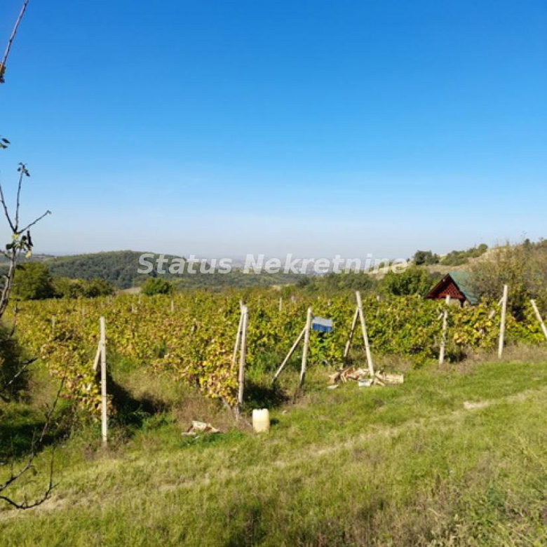 Plac Prodaja Novi Sad  0 m2
