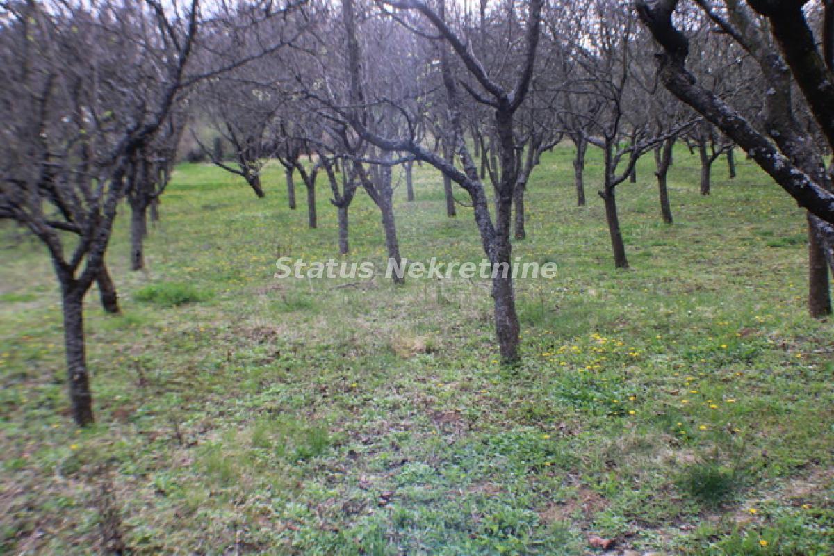 Plac Prodaja Inđija Plac Prodaja Inđija 0 m2