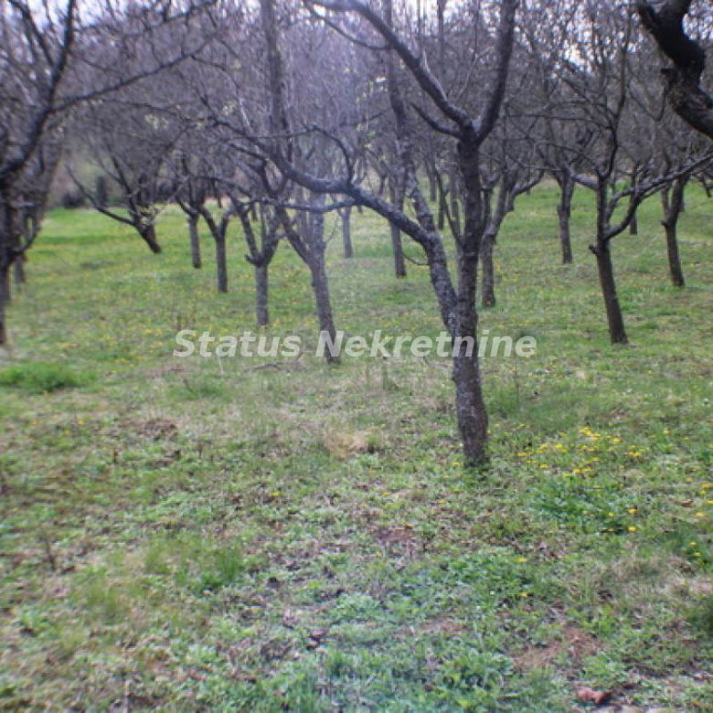 Plac Prodaja Inđija  0 m2