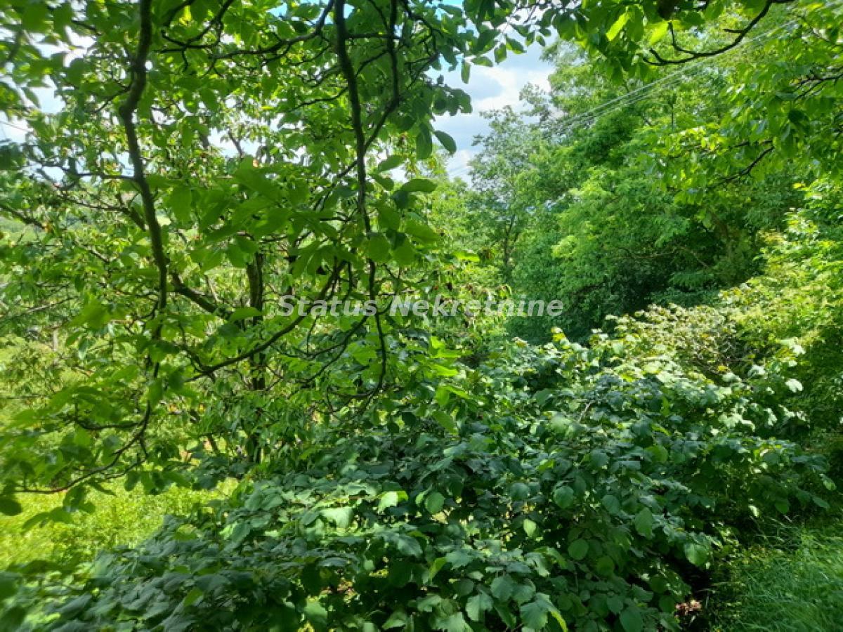 Plac Prodaja Inđija Plac Prodaja Inđija 0 m2