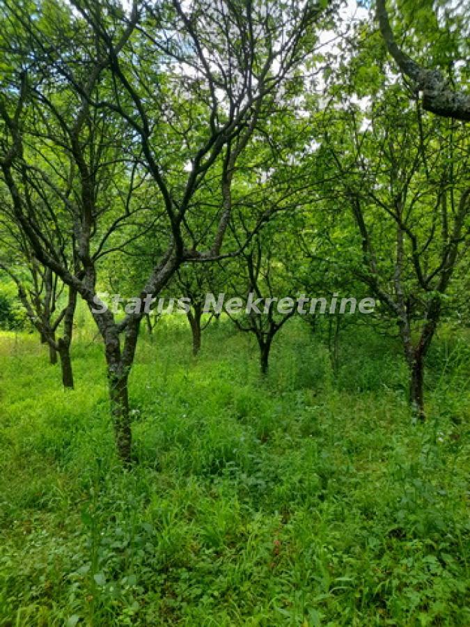 Plac Prodaja Inđija Plac Prodaja Inđija 0 m2