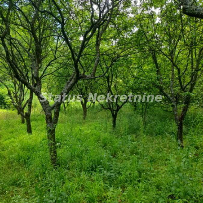 Plac Prodaja Inđija  0 m2