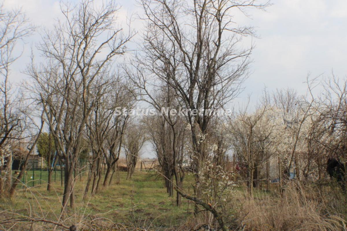 Plac Prodaja Zrenjanin Plac Prodaja Zrenjanin 0 m2