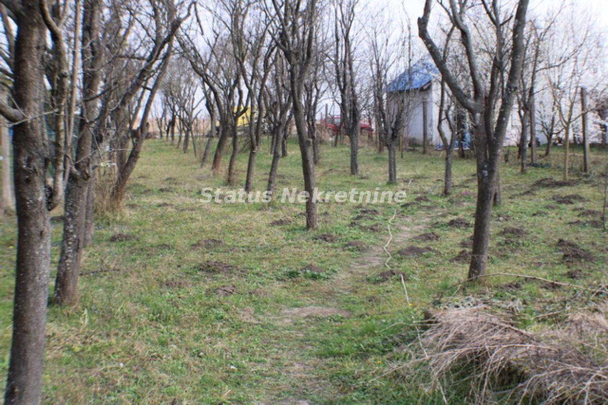 Plac Prodaja Zrenjanin Plac Prodaja Zrenjanin 0 m2