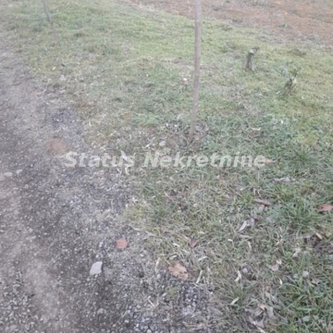 Plac Prodaja Beočin  0 m2
